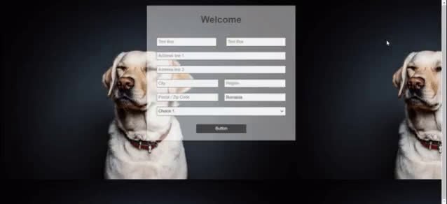 Form builder responsive AI mechanism.mp4
